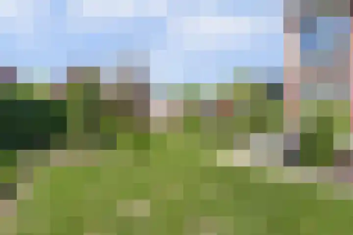 Strijenpad 3 Geertruidenberg thumbnail 66