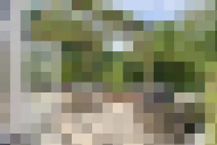 Strijenpad 3 Geertruidenberg thumbnail 68