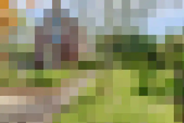 Strijenpad 3 Geertruidenberg thumbnail 69