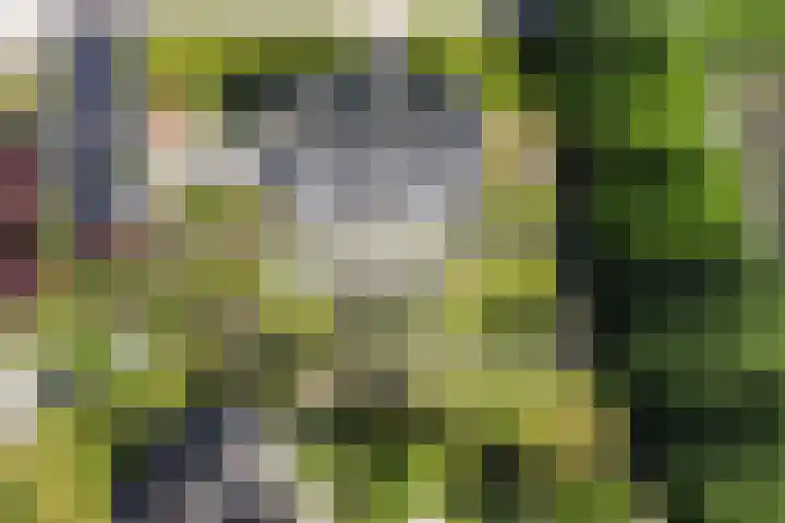 Strijenpad 3 Geertruidenberg thumbnail 77
