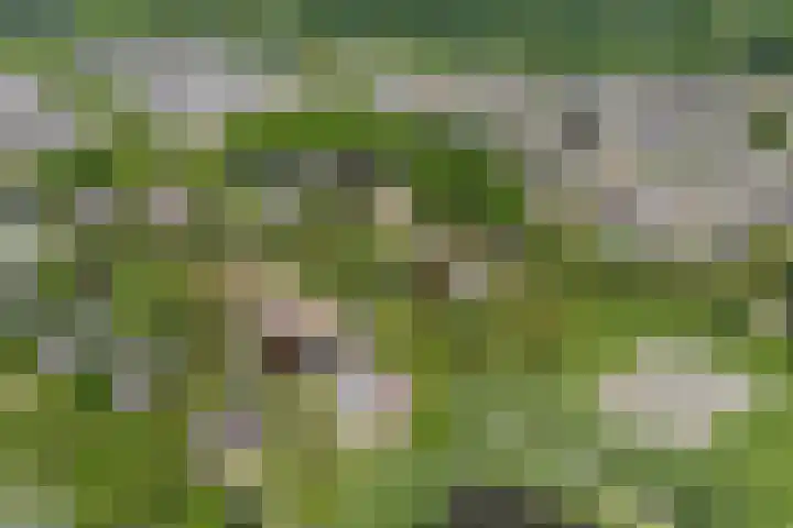 Strijenpad 3 Geertruidenberg thumbnail 78