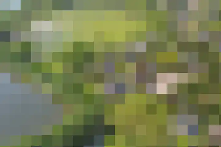 Strijenpad 3 Geertruidenberg thumbnail 79