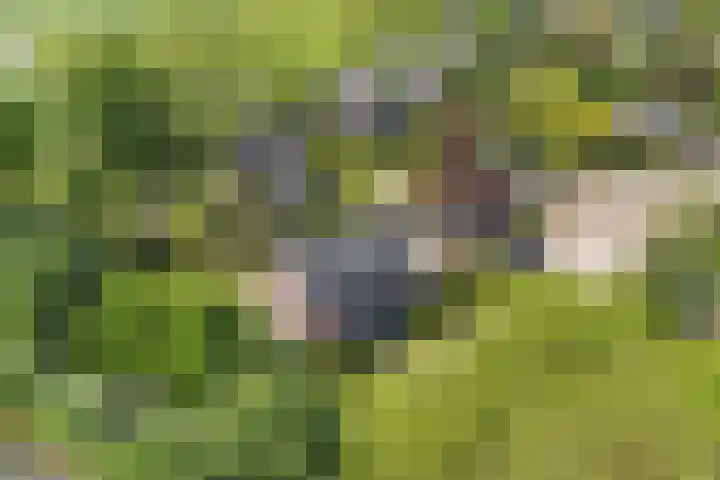 Strijenpad 3 Geertruidenberg thumbnail 80