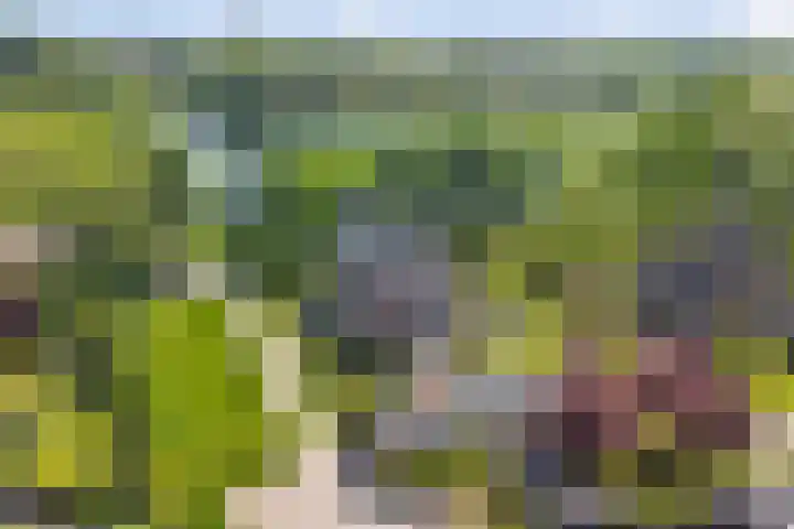 Strijenpad 3 Geertruidenberg thumbnail 81