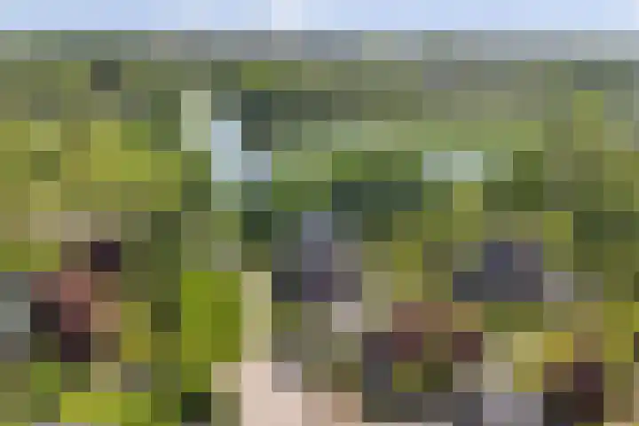 Strijenpad 3 Geertruidenberg thumbnail 82