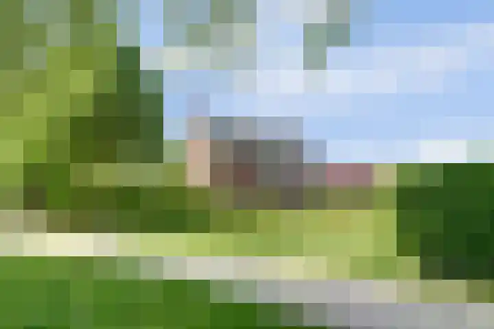 Strijenpad 3 Geertruidenberg thumbnail 83