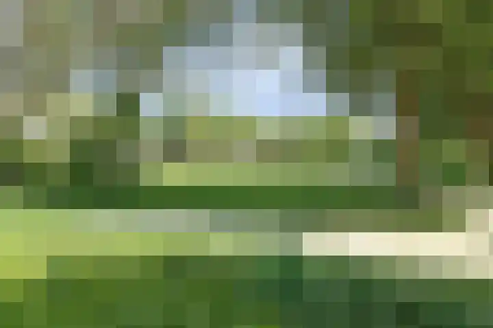 Strijenpad 3 Geertruidenberg thumbnail 84