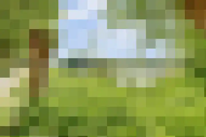 Strijenpad 3 Geertruidenberg thumbnail 85