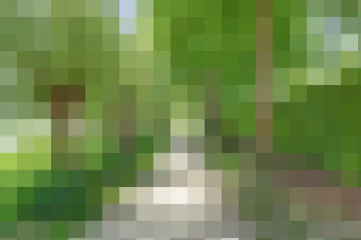 Strijenpad 3 Geertruidenberg thumbnail 86
