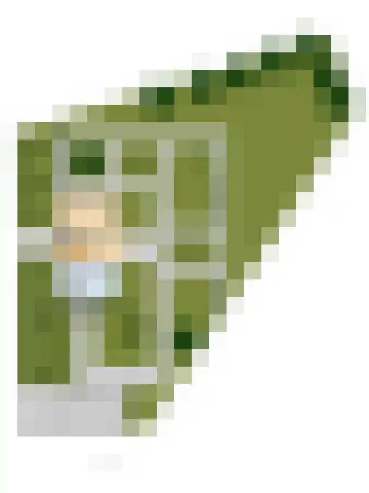 Strijenpad 3 Geertruidenberg thumbnail 88