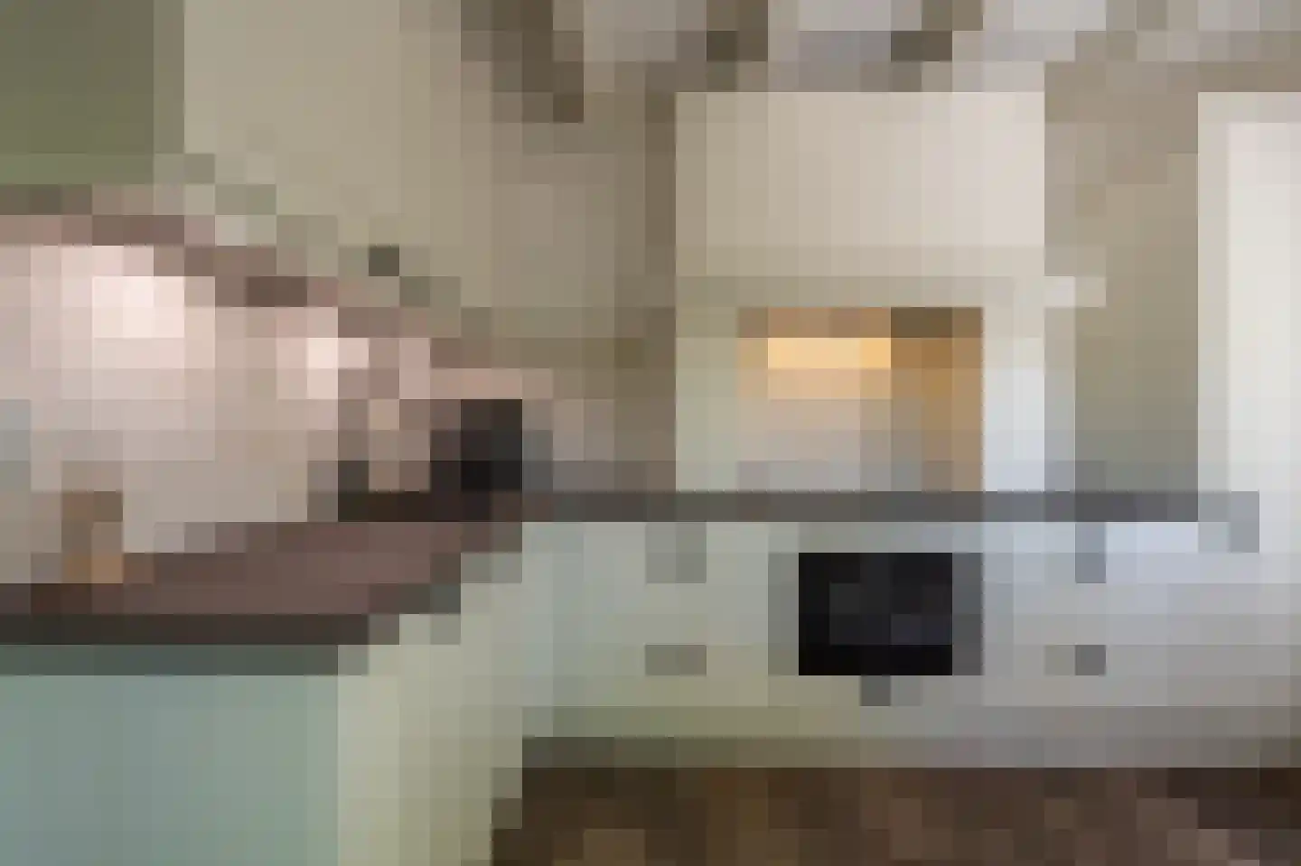 Strijensedijk 12 Mookhoek thumbnail 10