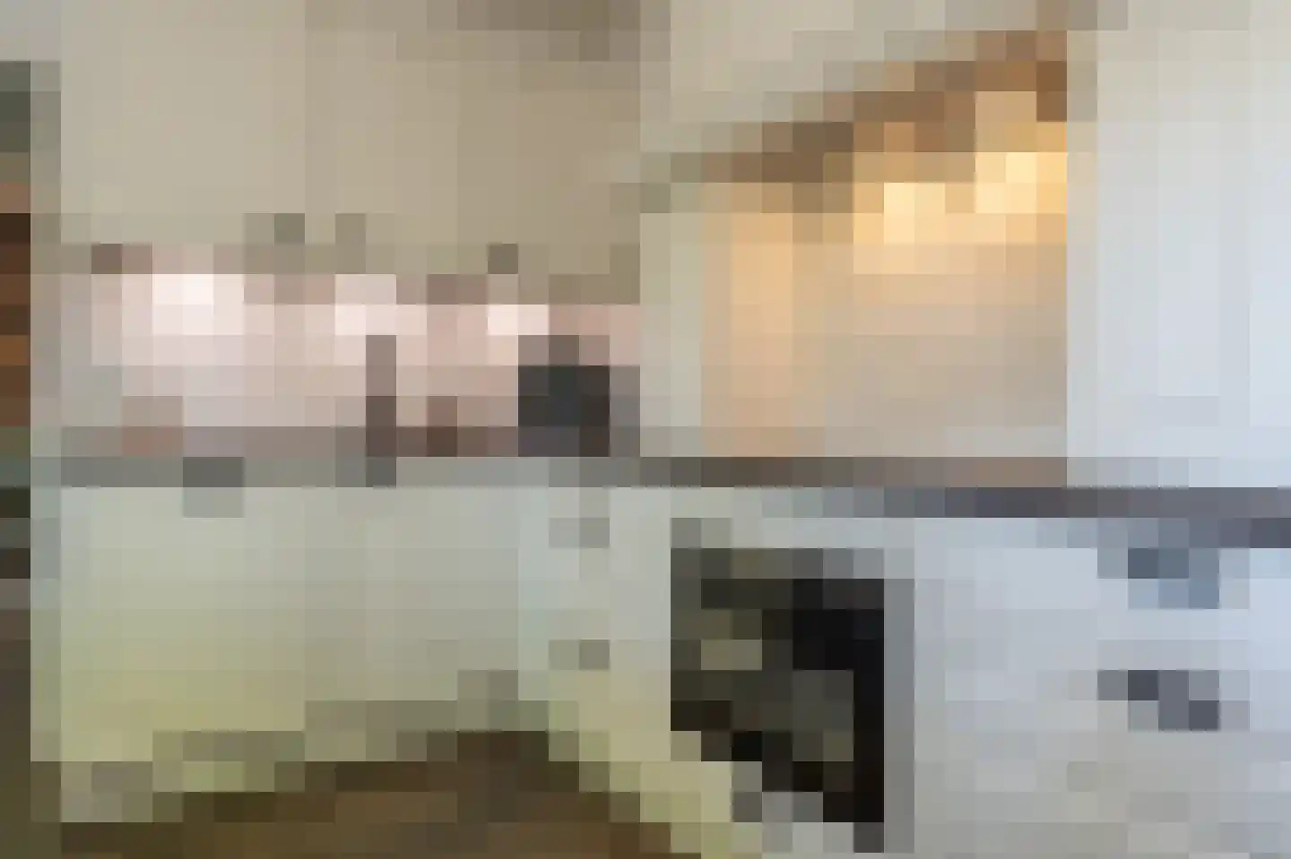 Strijensedijk 12 Mookhoek thumbnail 11