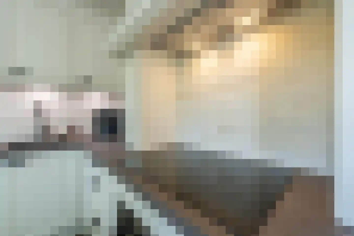 Strijensedijk 12 Mookhoek thumbnail 12