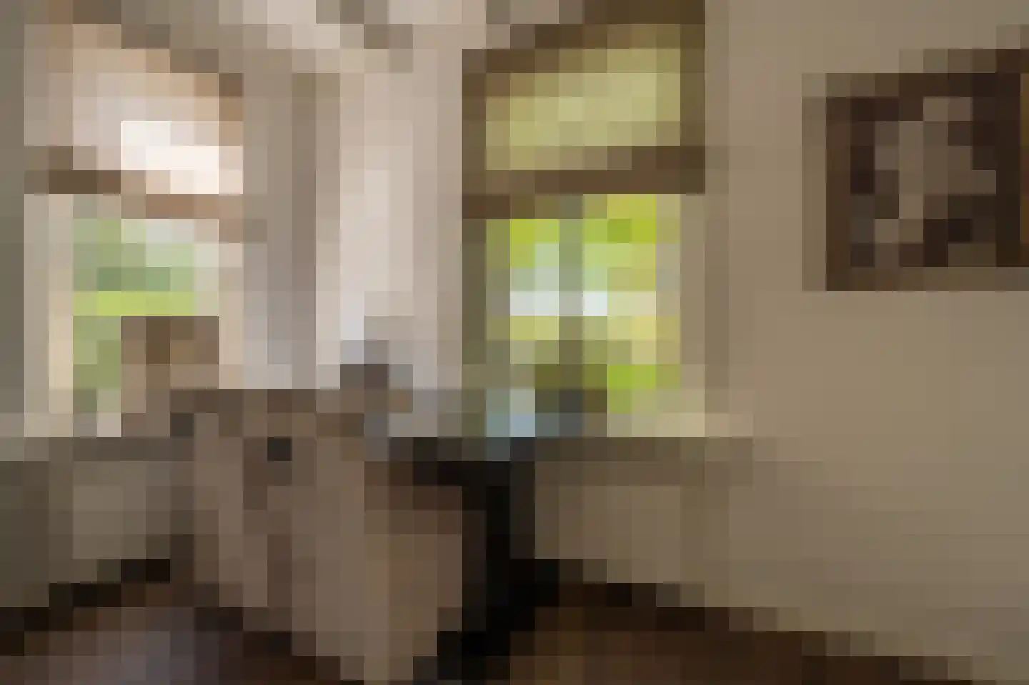 Strijensedijk 12 Mookhoek thumbnail 13