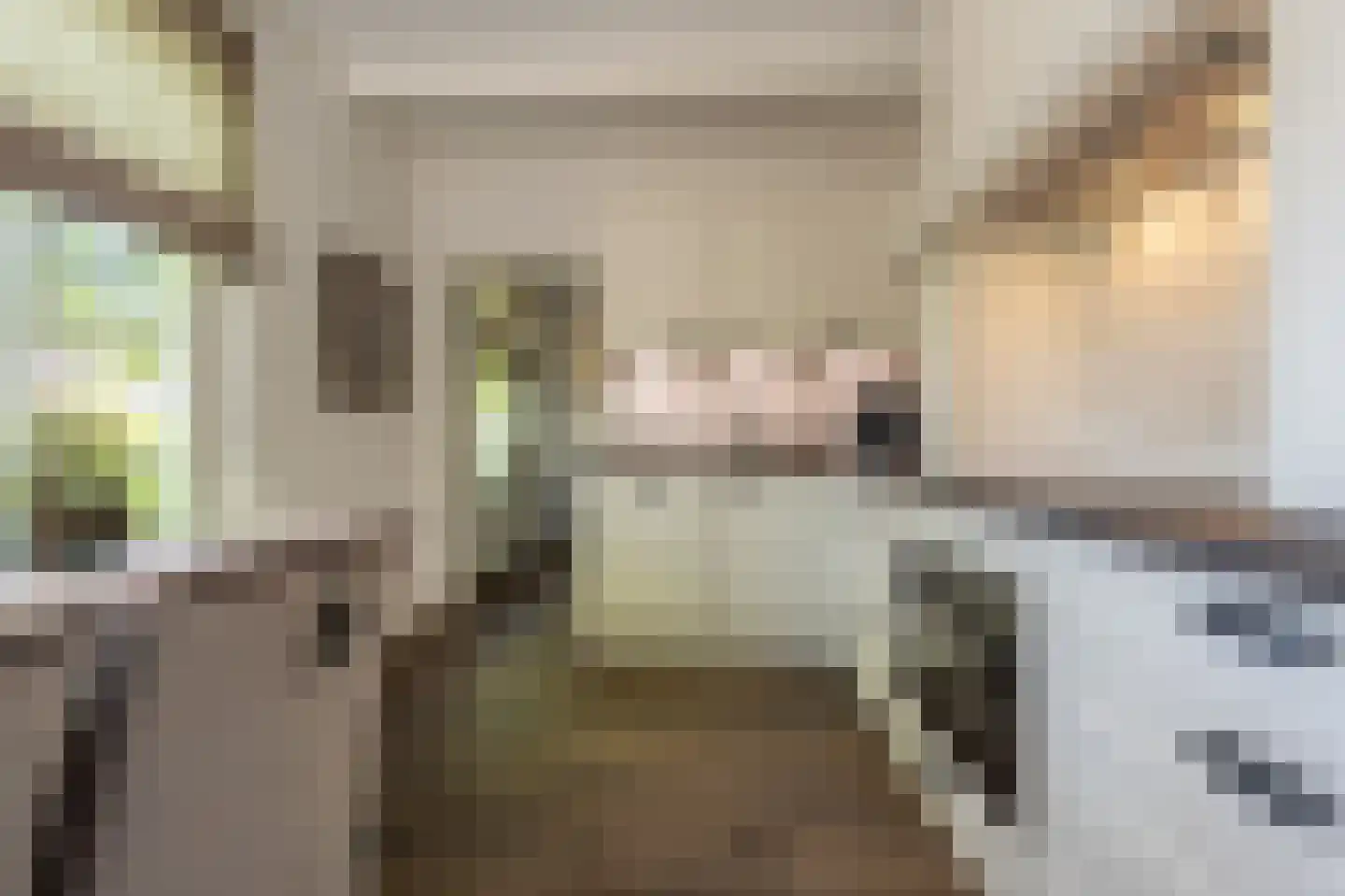 Strijensedijk 12 Mookhoek thumbnail 14