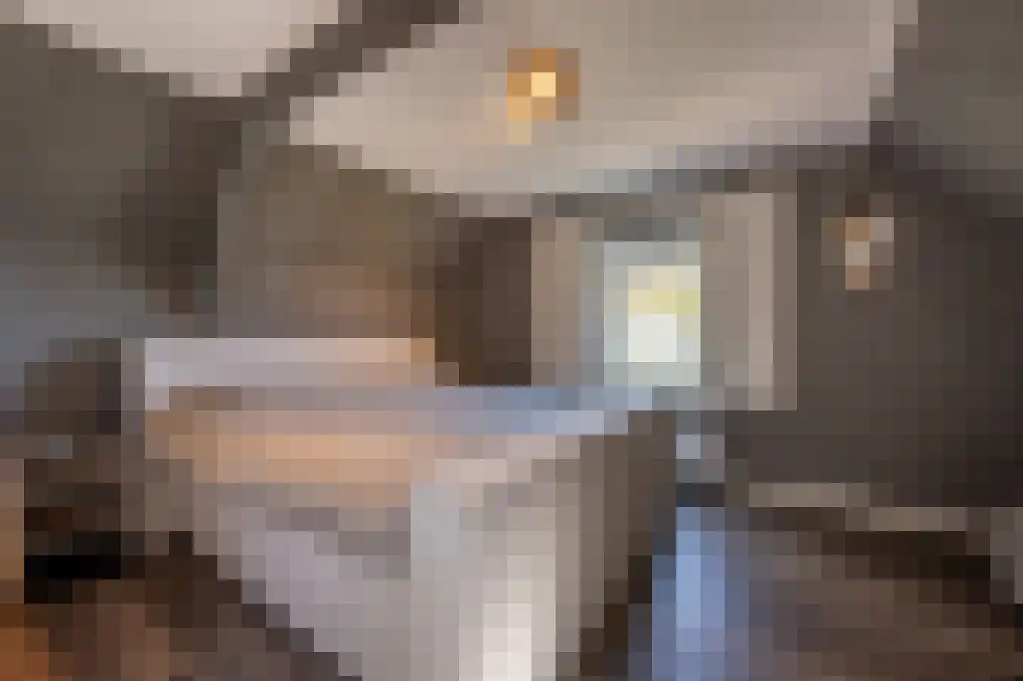 Strijensedijk 12 Mookhoek thumbnail 16