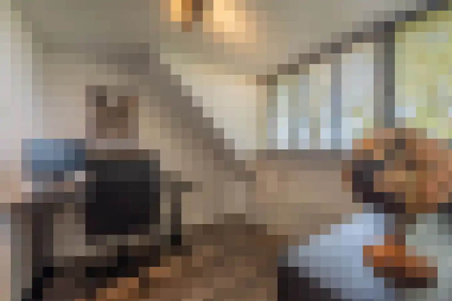 Strijensedijk 12 Mookhoek thumbnail 19
