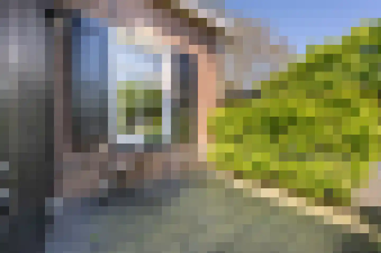 Strijensedijk 12 Mookhoek thumbnail 28
