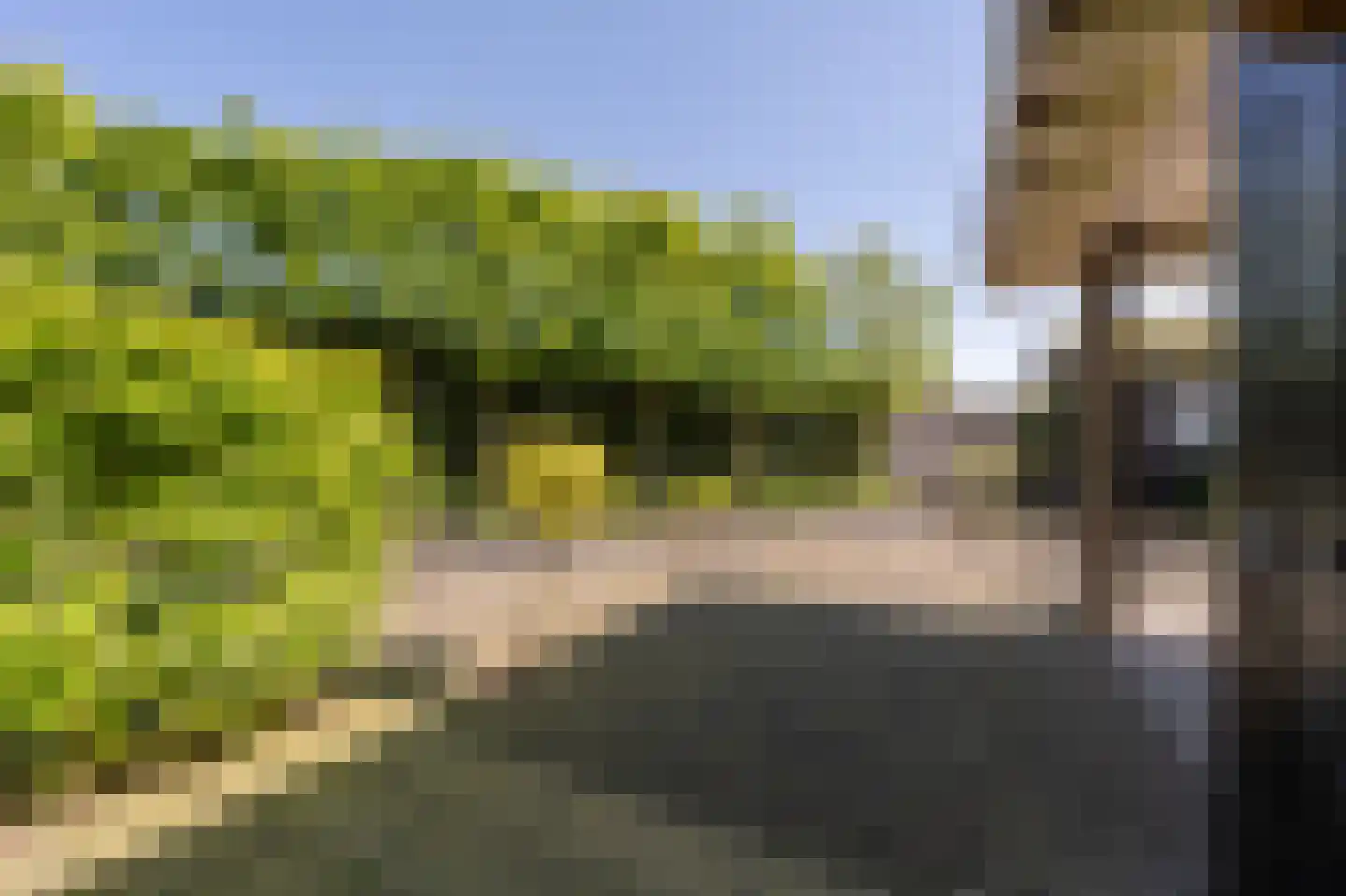 Strijensedijk 12 Mookhoek thumbnail 29