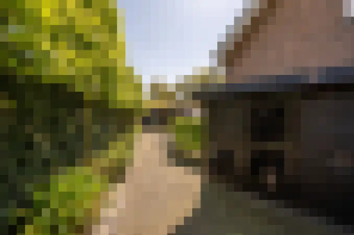 Strijensedijk 12 Mookhoek thumbnail 30