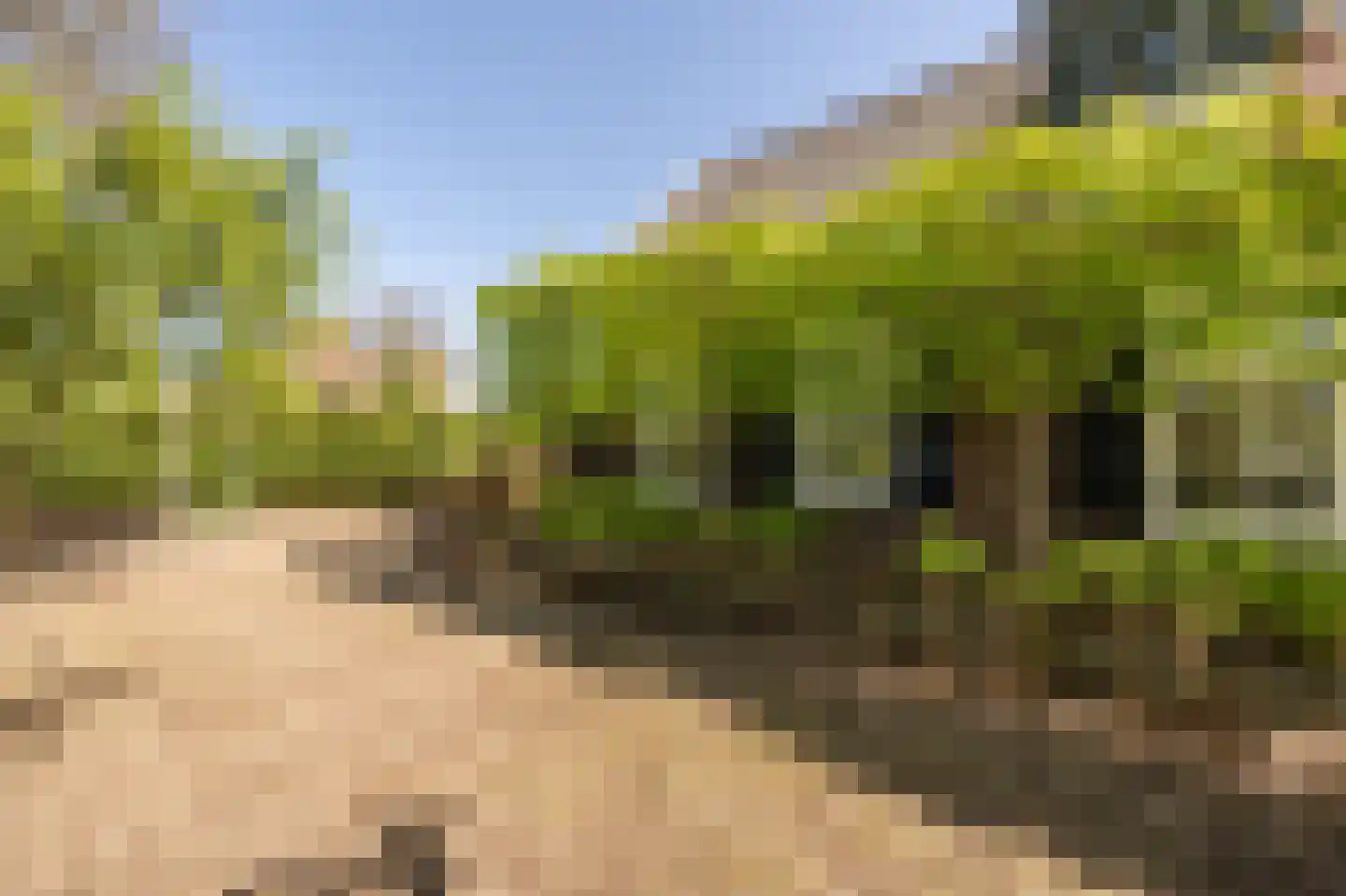 Strijensedijk 12 Mookhoek thumbnail 31