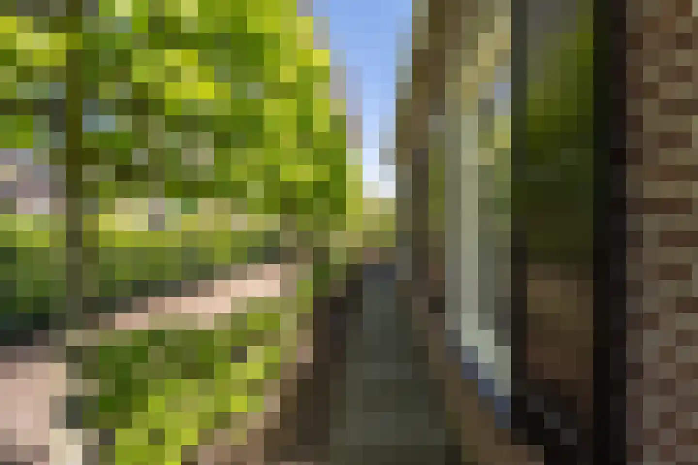 Strijensedijk 12 Mookhoek thumbnail 32