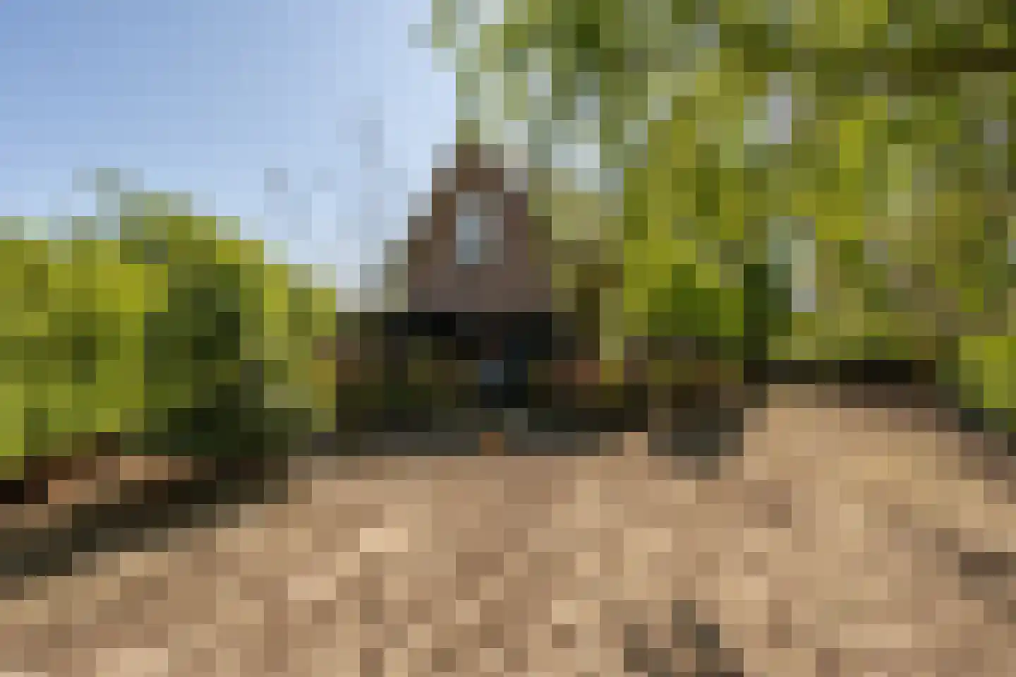 Strijensedijk 12 Mookhoek thumbnail 33