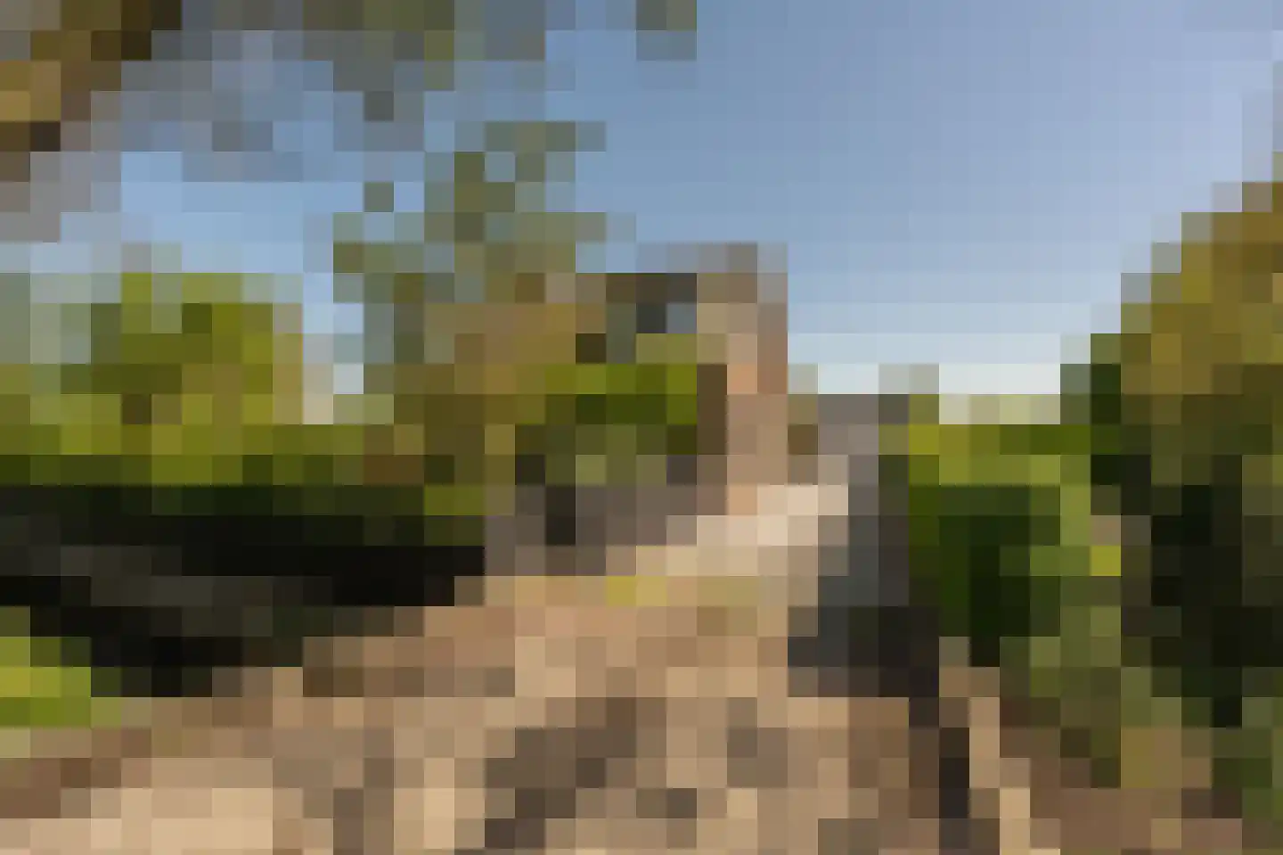 Strijensedijk 12 Mookhoek thumbnail 35