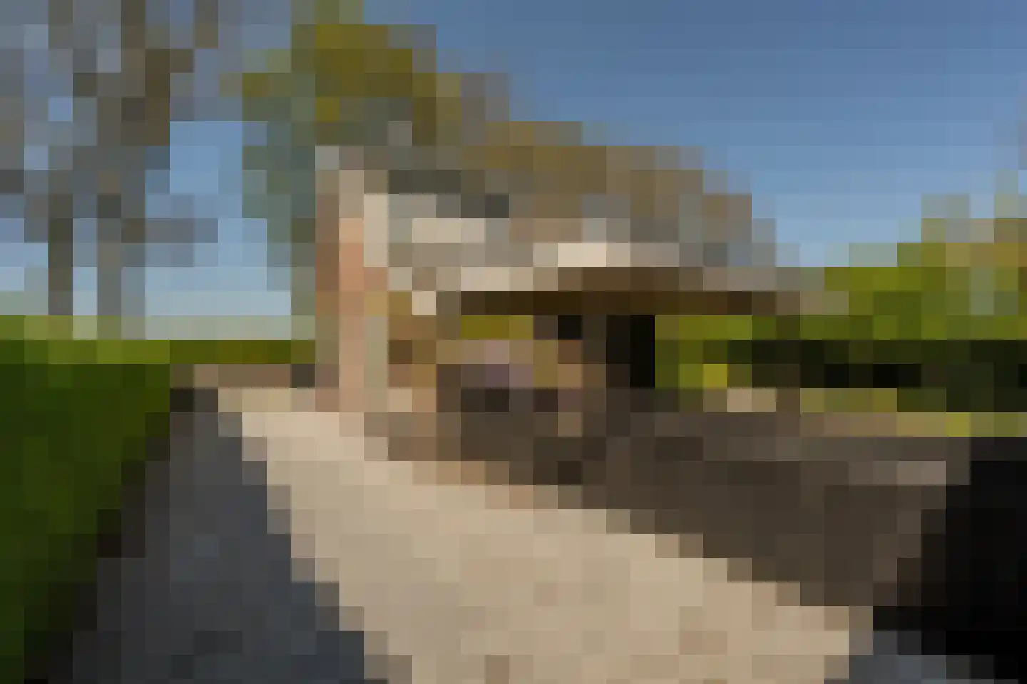 Strijensedijk 12 Mookhoek thumbnail 36