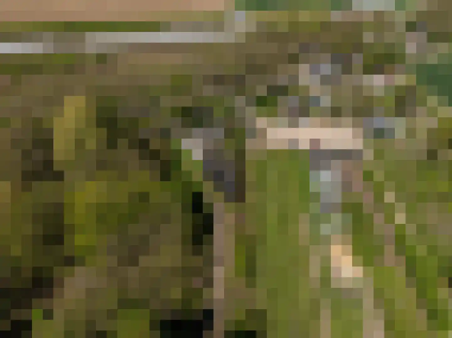 Strijensedijk 12 Mookhoek thumbnail 40