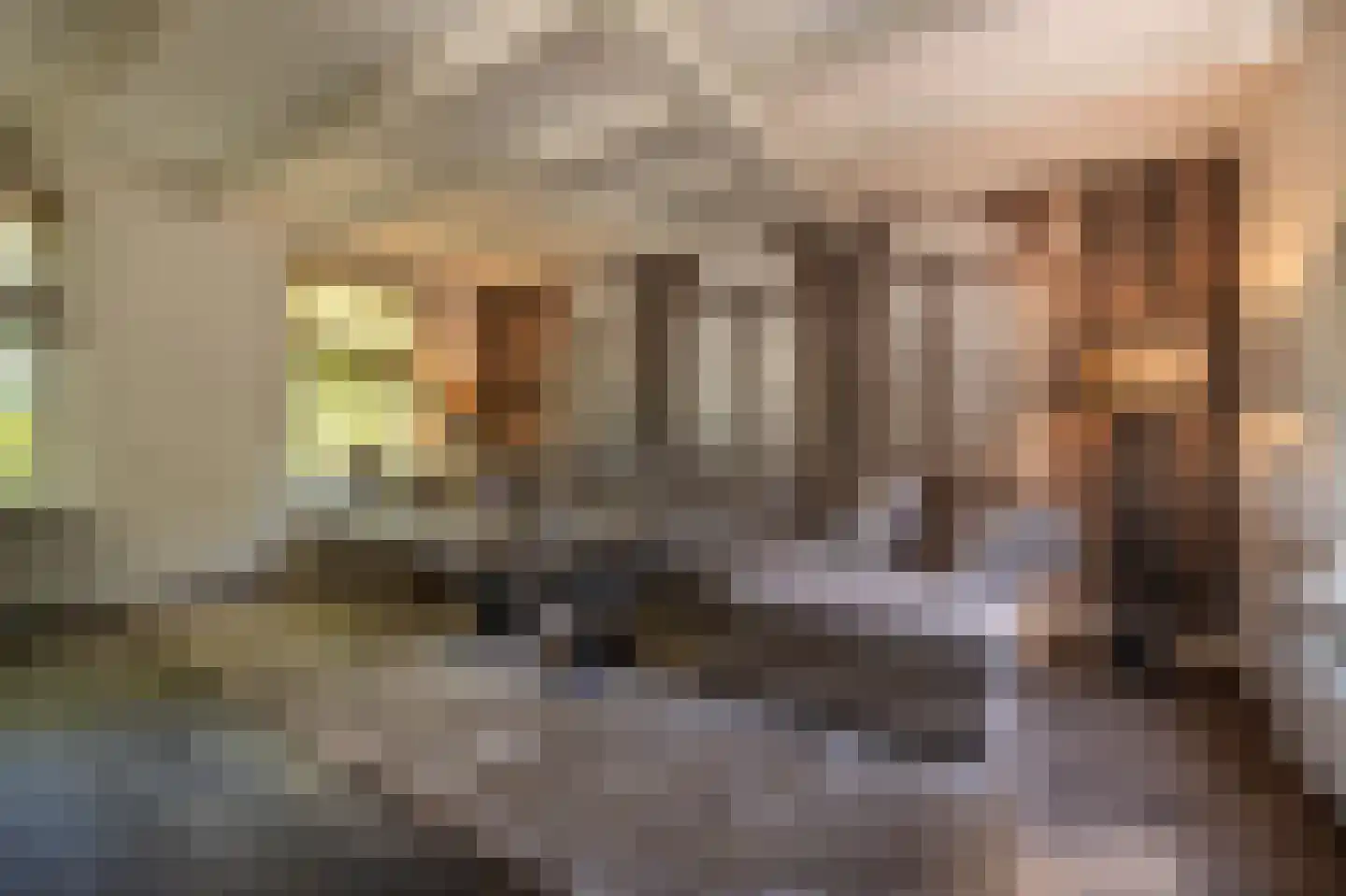 Strijensedijk 12 Mookhoek thumbnail 5