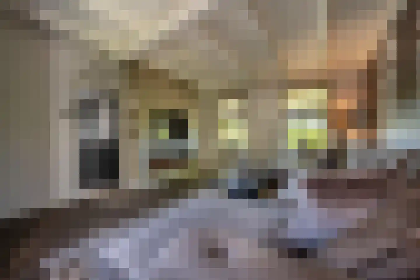 Strijensedijk 12 Mookhoek thumbnail 6