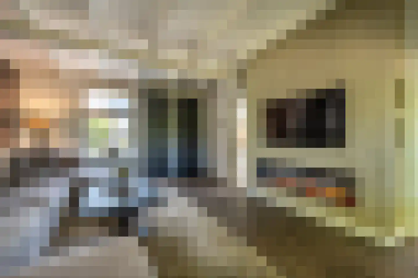 Strijensedijk 12 Mookhoek thumbnail 7