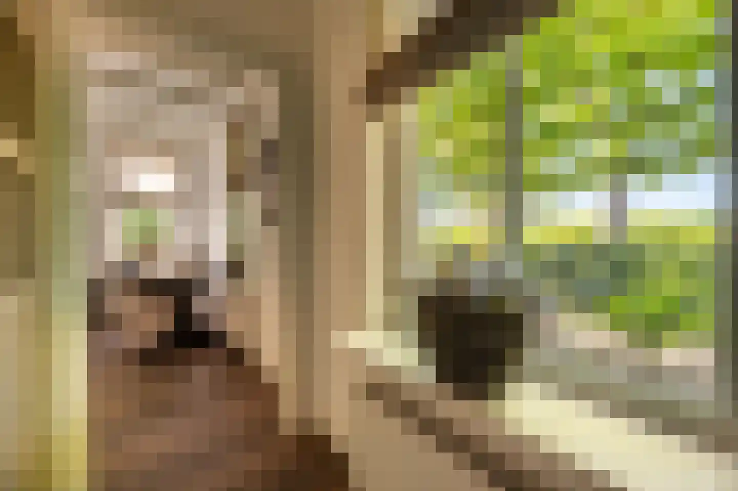 Strijensedijk 12 Mookhoek thumbnail 8