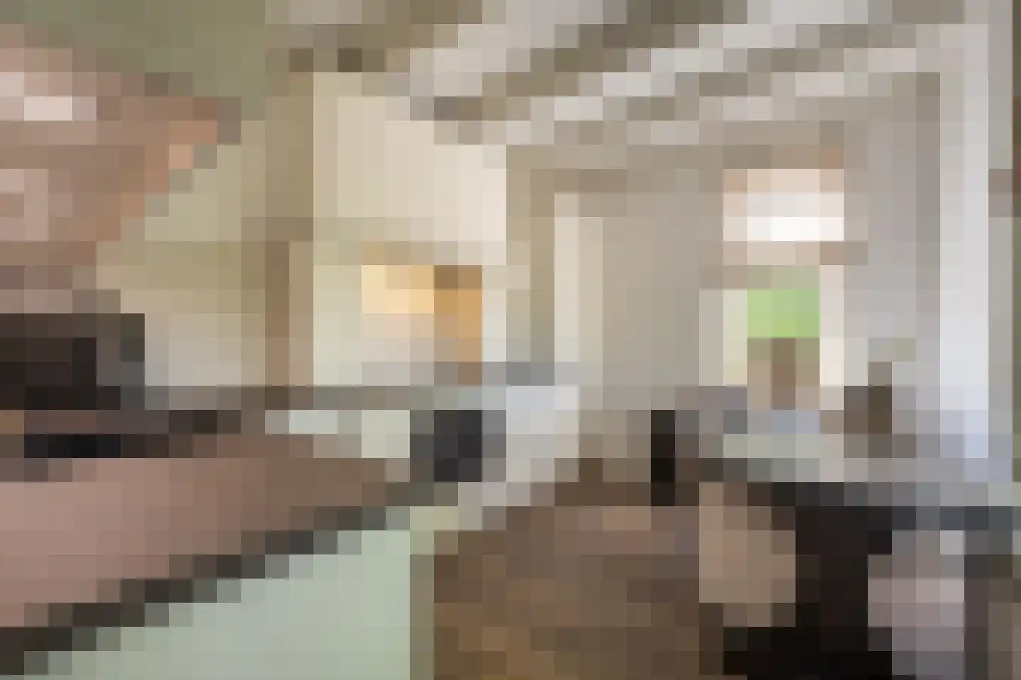 Strijensedijk 12 Mookhoek thumbnail 9