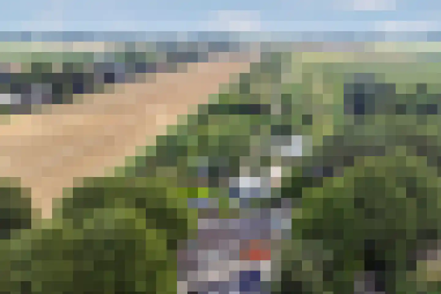 Strijensedijk 22 Mookhoek thumbnail 43