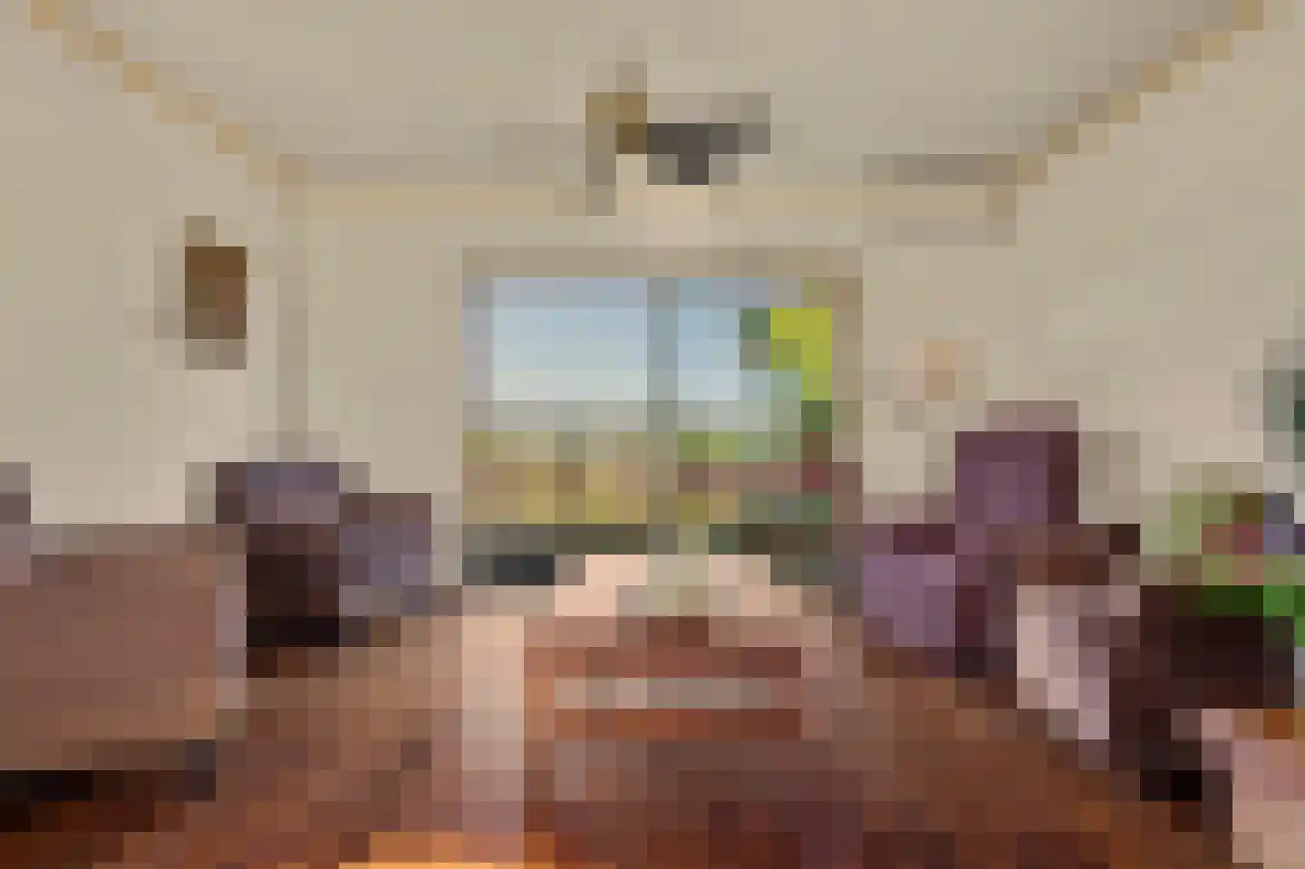 Strijensedijk 9 Mookhoek thumbnail 13