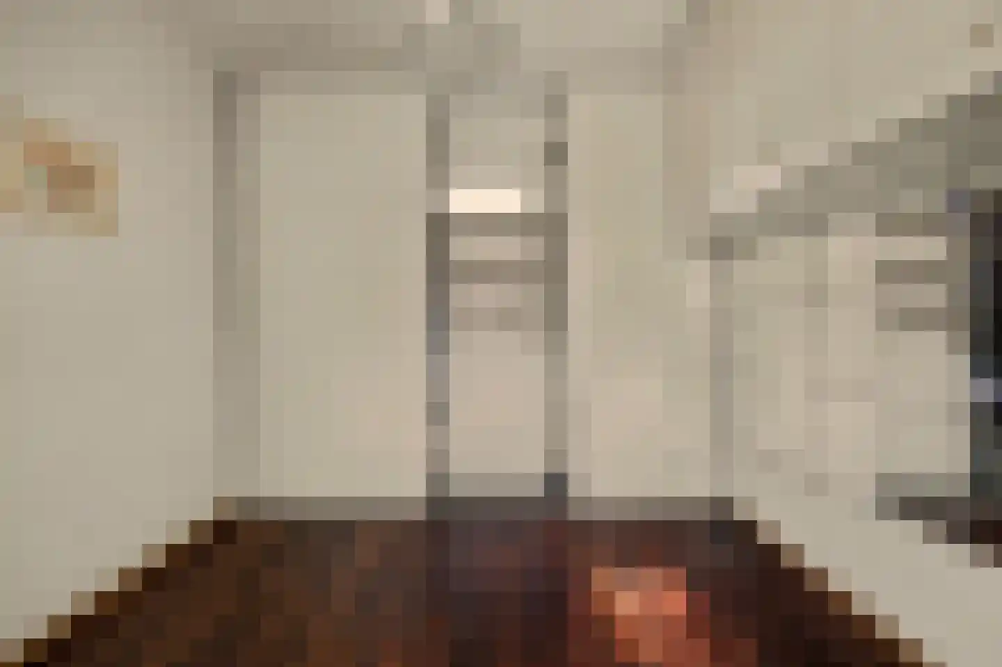 Strijensedijk 9 Mookhoek thumbnail 15