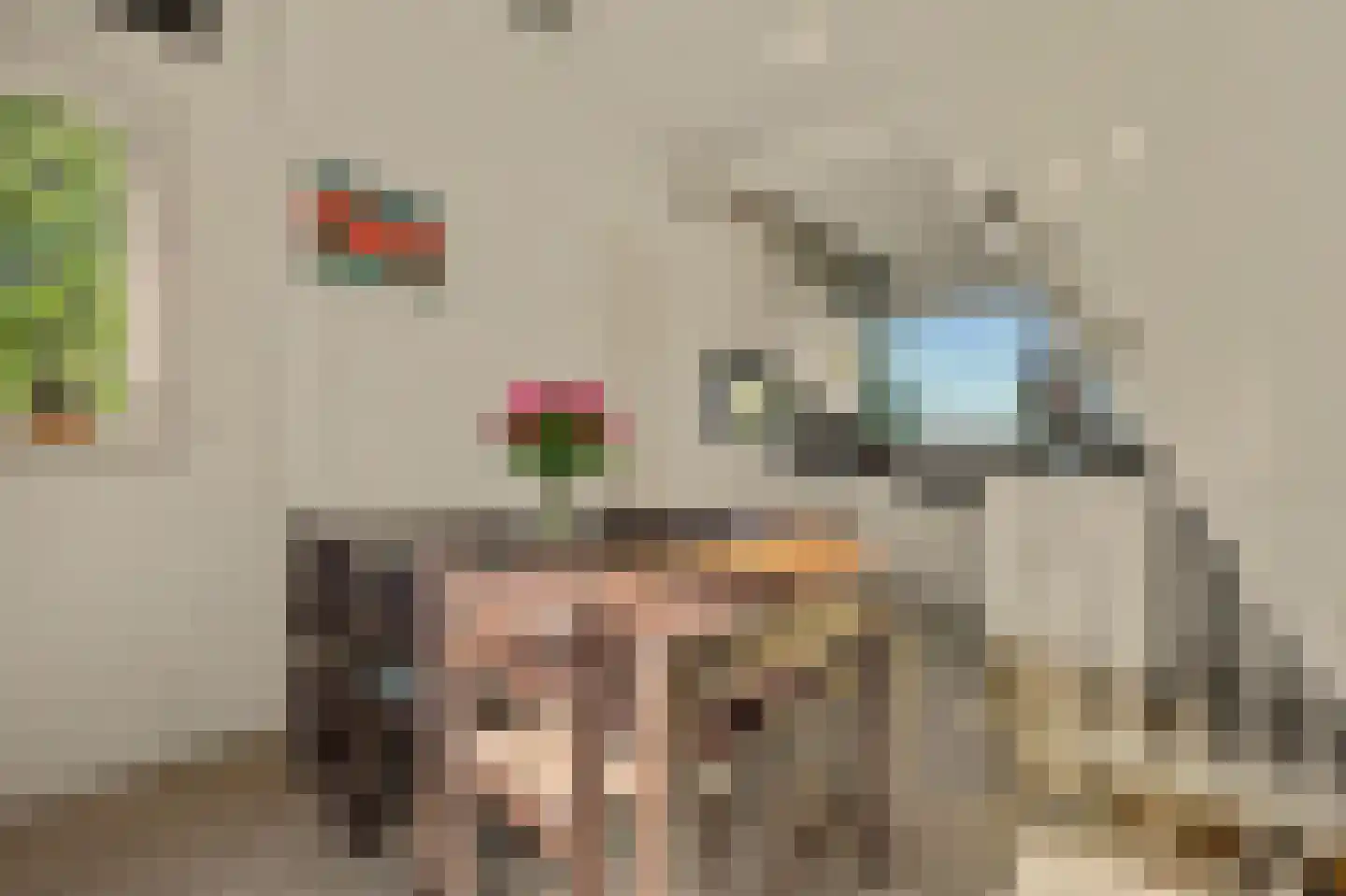 Strijensedijk 9 Mookhoek thumbnail 17