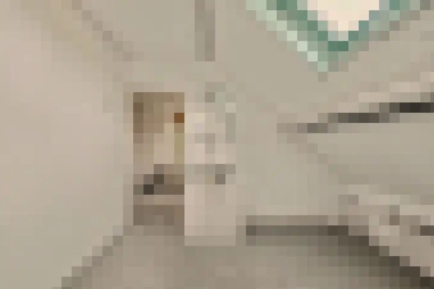 Strijensedijk 9 Mookhoek thumbnail 22