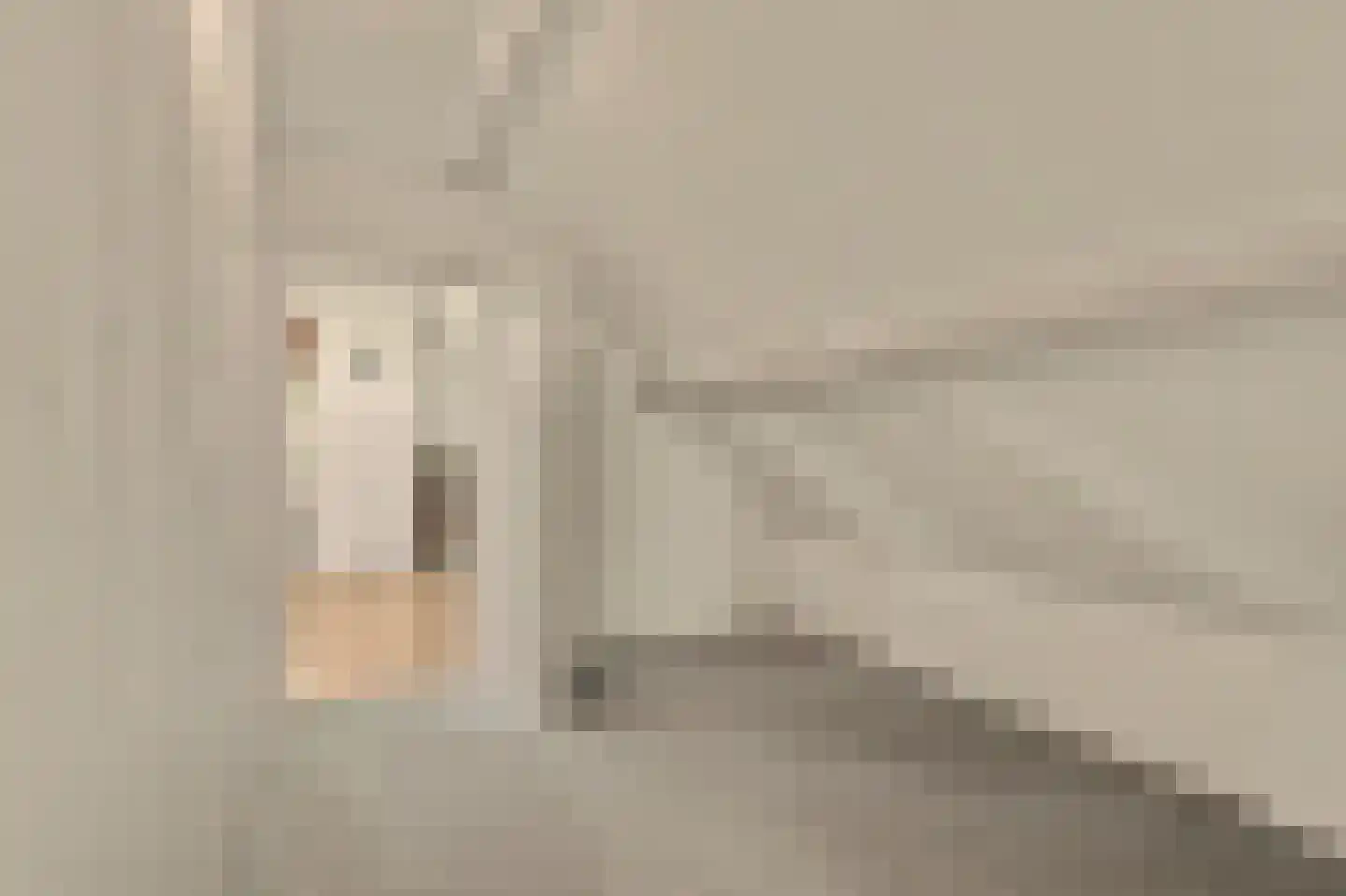 Strijensedijk 9 Mookhoek thumbnail 23