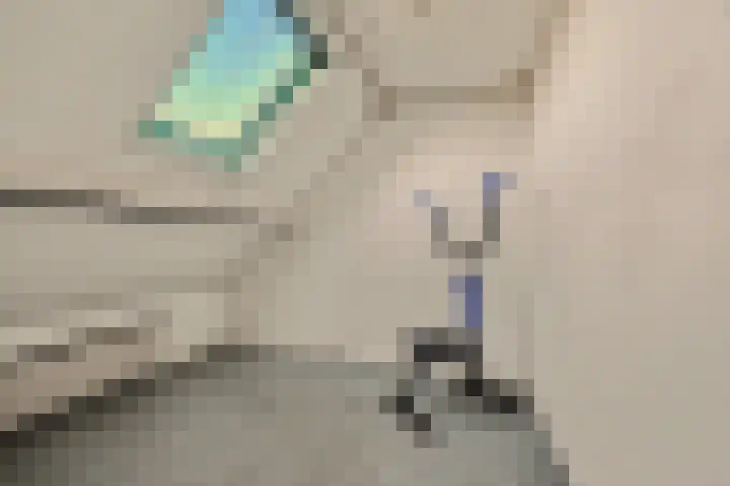 Strijensedijk 9 Mookhoek thumbnail 27
