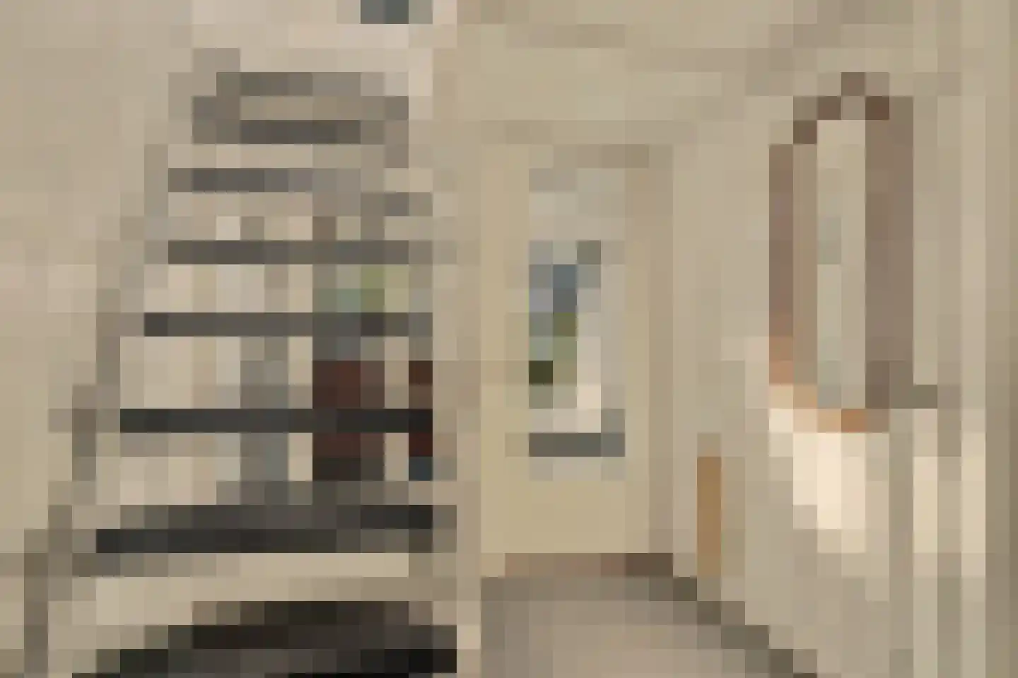 Strijensedijk 9 Mookhoek thumbnail 28