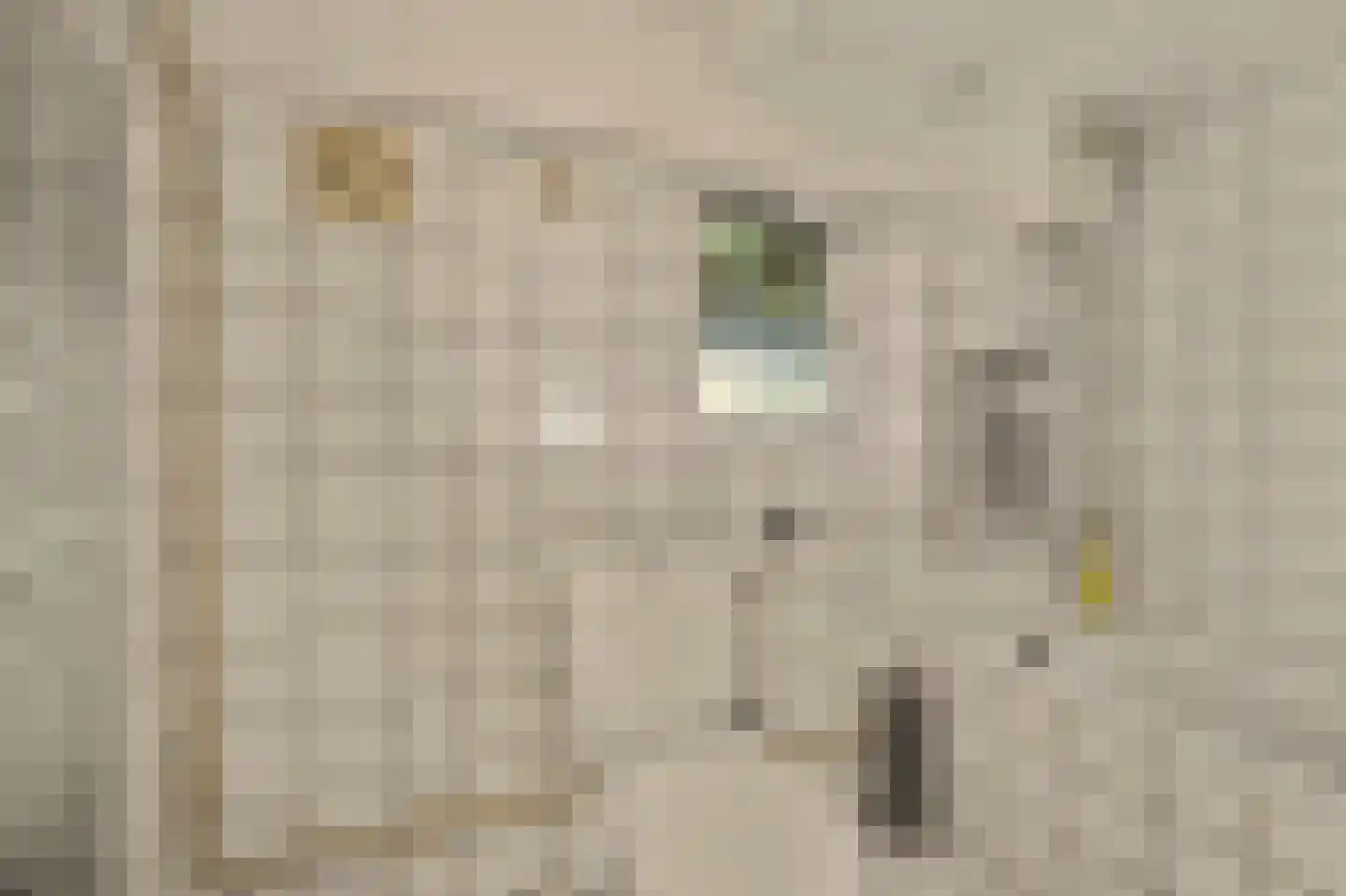 Strijensedijk 9 Mookhoek thumbnail 31