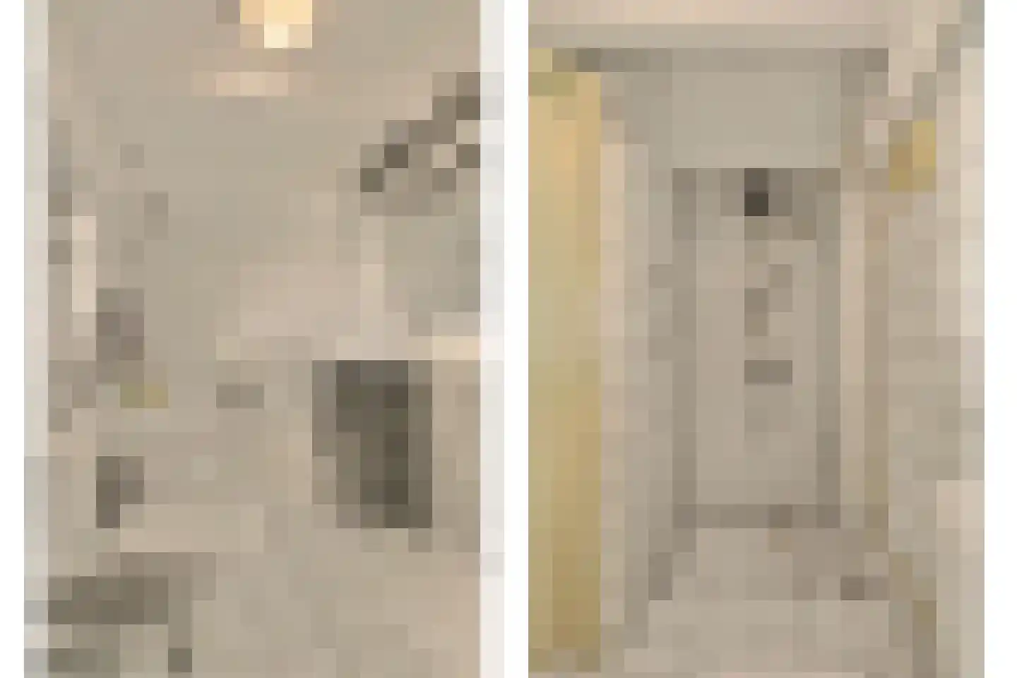 Strijensedijk 9 Mookhoek thumbnail 32