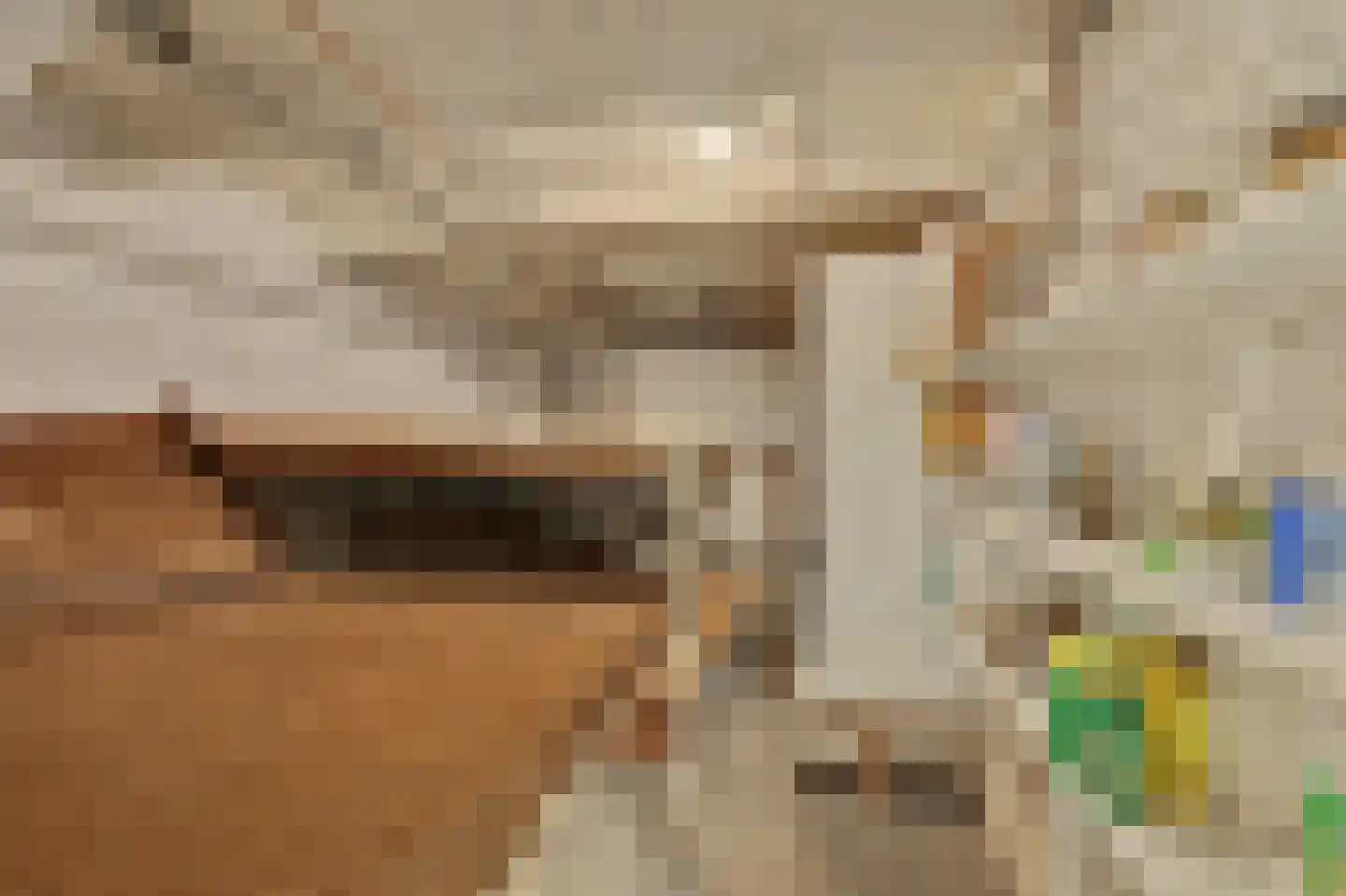 Strijensedijk 9 Mookhoek thumbnail 33
