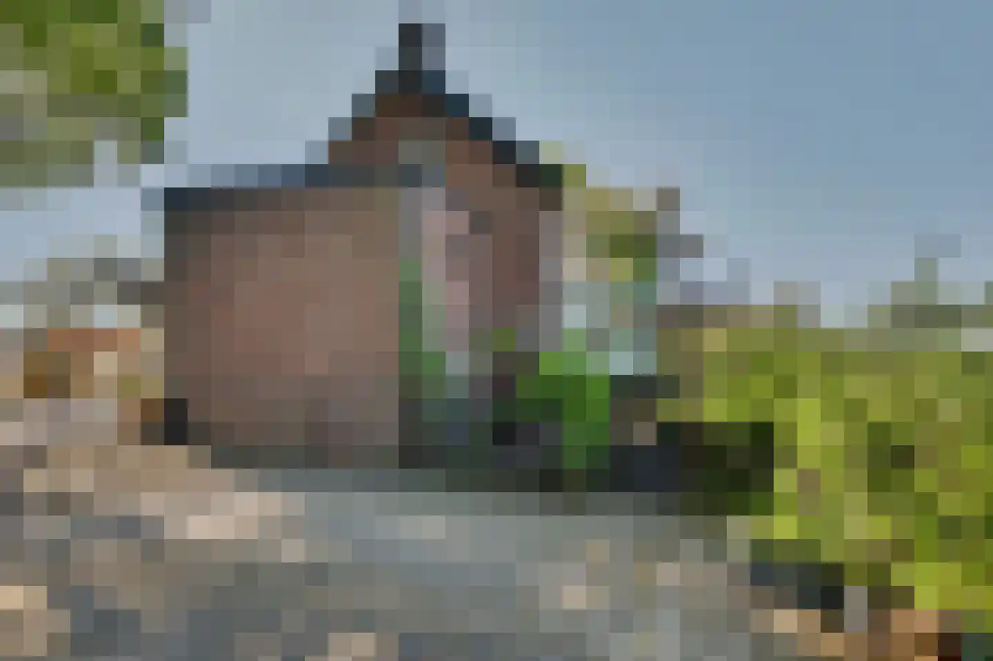 Strijensedijk 9 Mookhoek thumbnail 34
