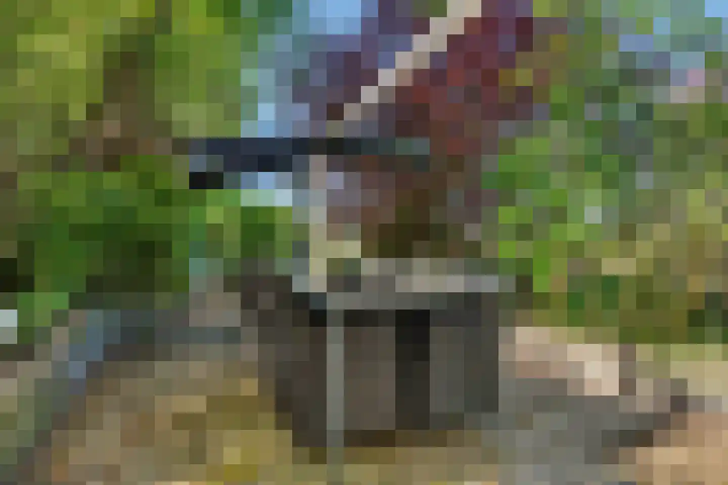 Strijensedijk 9 Mookhoek thumbnail 35