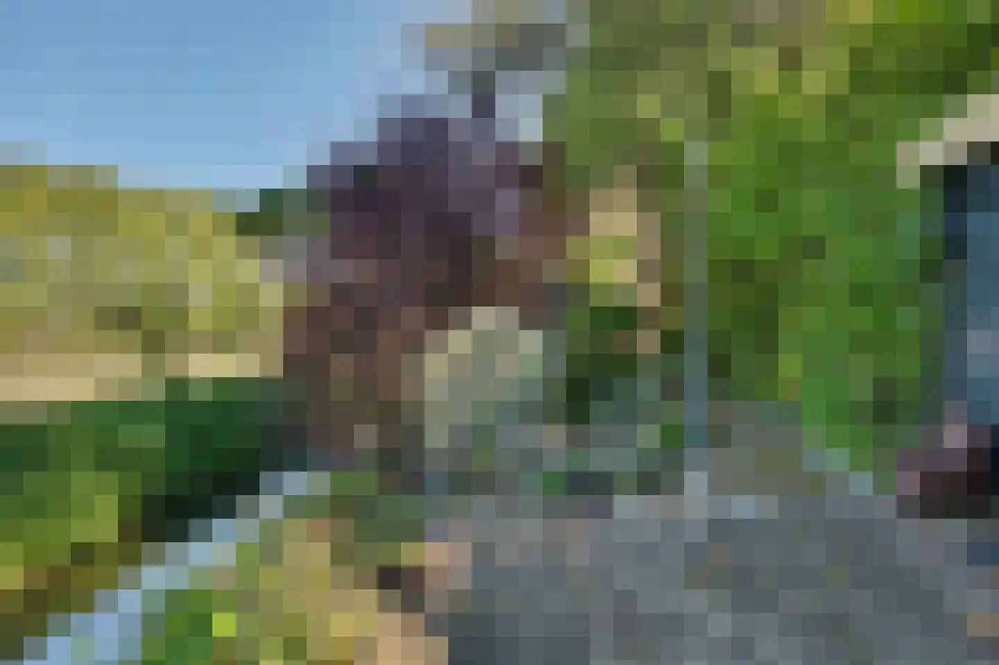 Strijensedijk 9 Mookhoek thumbnail 41