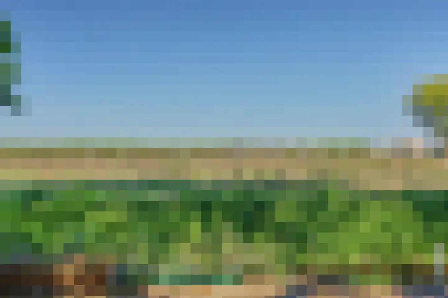 Strijensedijk 9 Mookhoek thumbnail 42